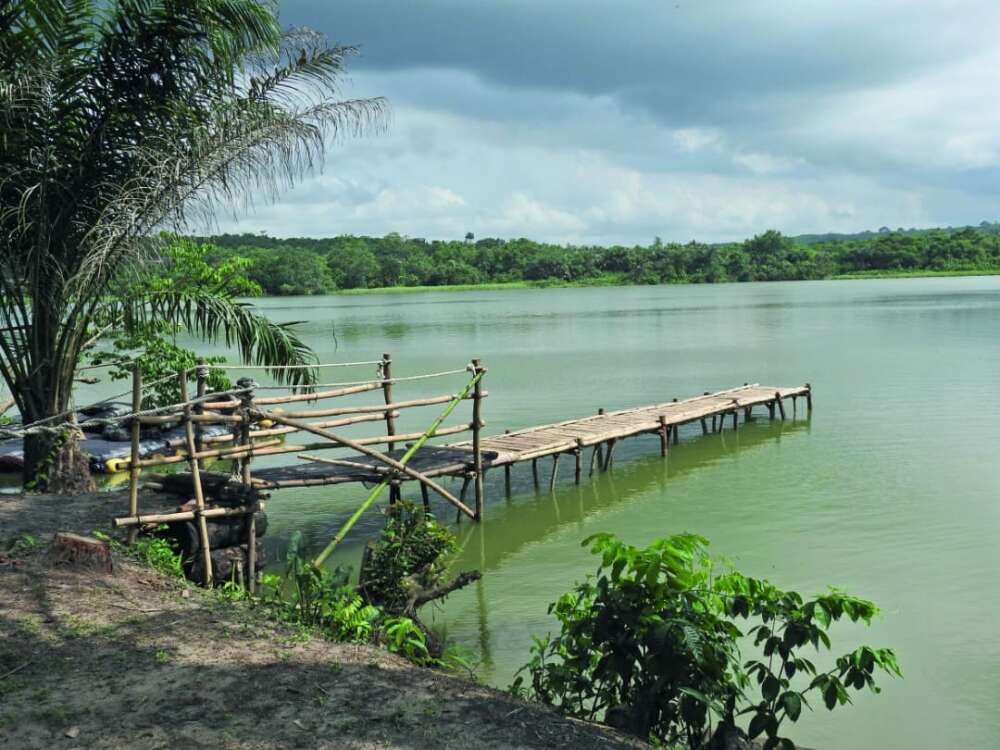 Domaine Bini Lagune