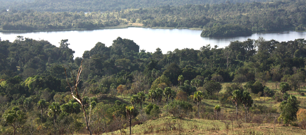 Parc Animalier d'Aboukouamékro