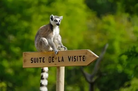 Zoo National d'Abidjan