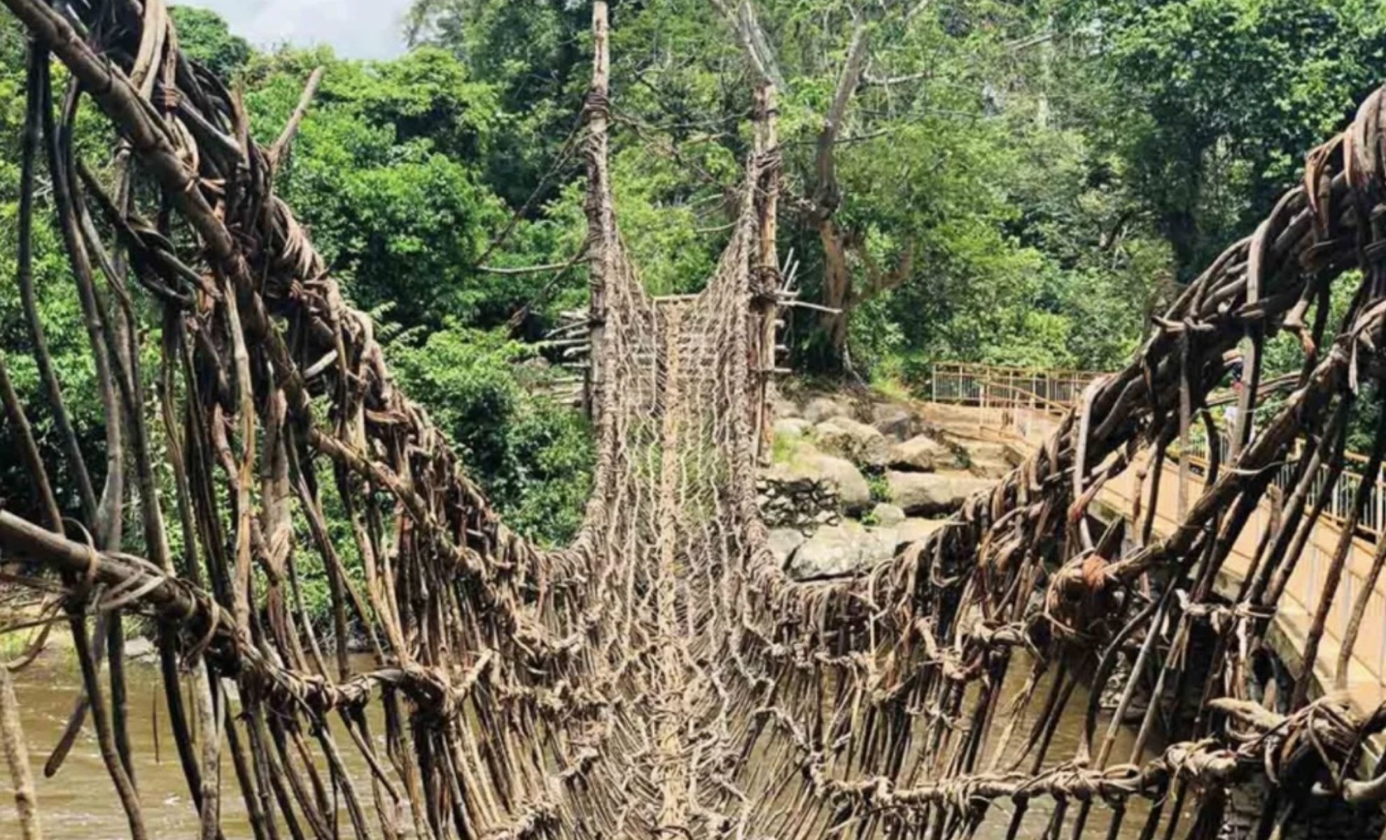 Pont de Lianes de Lieupleu