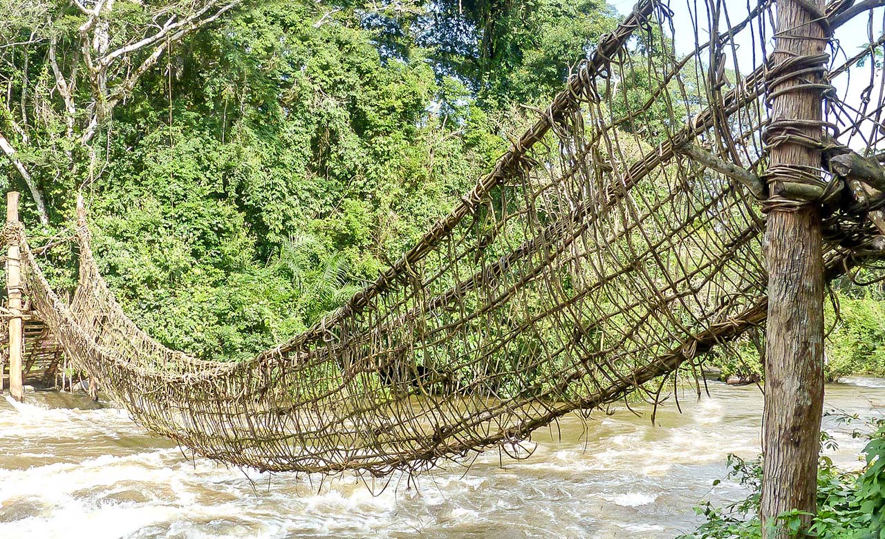 Pont de Lianes de Lieupleu