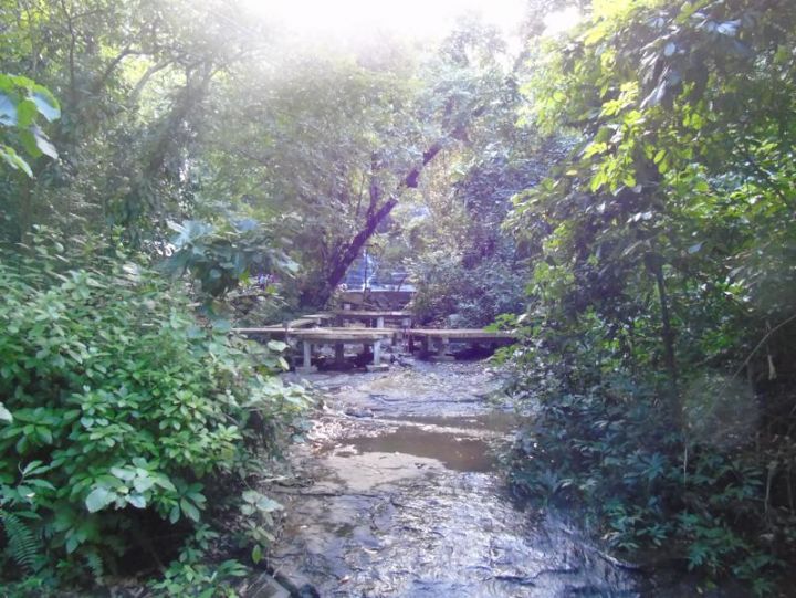 Forêt Sacrée de Gbépleu