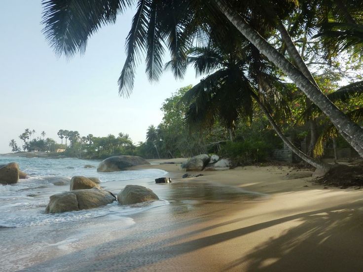 Plage de Sassandra