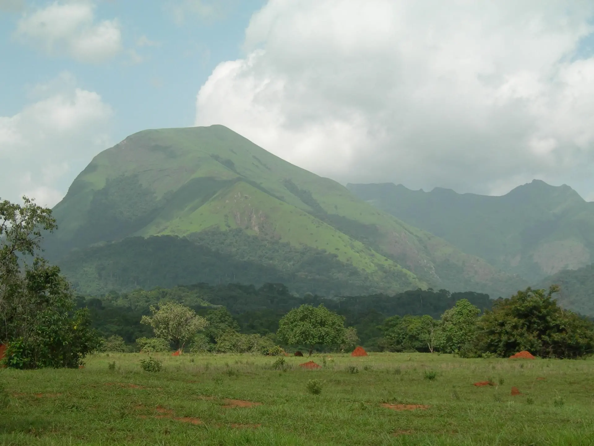 Réserve Naturelle du Mont Nimba