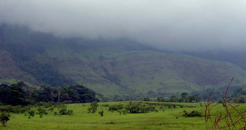 Réserve Naturelle du Mont Nimba
