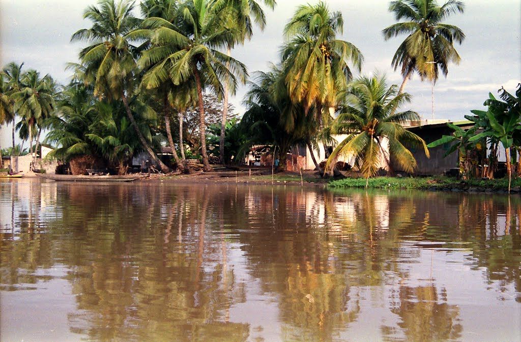 Lagune Ébrié (Rive Nord)